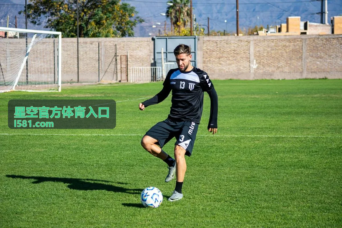 星空官方体育入口数据字段说明示意