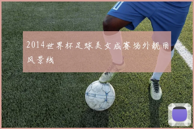 2014世界杯足球美女成赛场外靓丽风景线