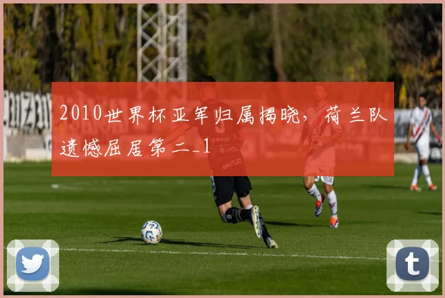 2010世界杯亚军归属揭晓，荷兰队遗憾屈居第二_1