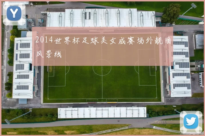 2014世界杯足球美女成赛场外靓丽风景线