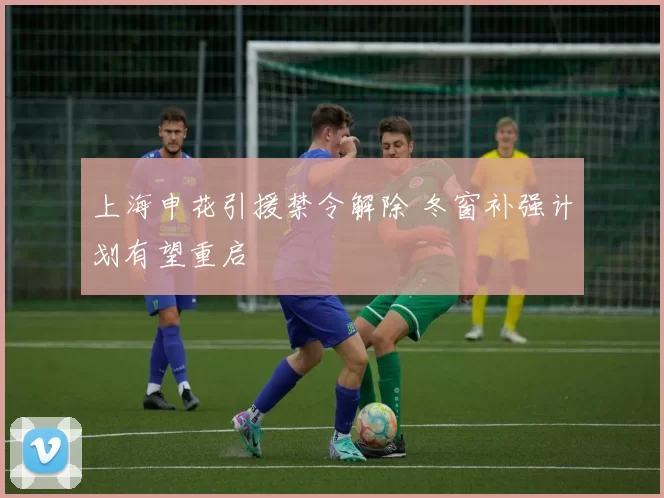 上海申花引援禁令解除 冬窗补强计划有望重启